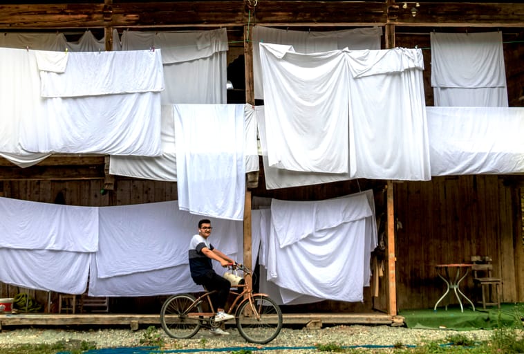 Tarabozon Trees House Landry Bicycle BOY Edit, a fine-art photograph by Ali Abu Ras