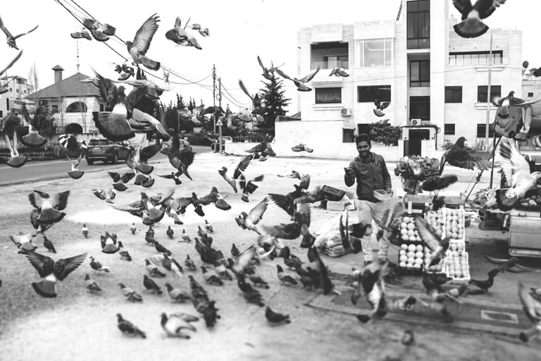 People Seller AND Birds 5, a fine-art photograph by Ali Abu Ras