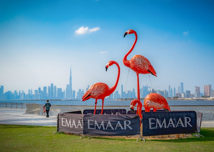 Four bright orange and pink flamingo sculptures stand in a roped-off enclosure on a paved waterfront with a distant city skyline across the water under a blue sky.
