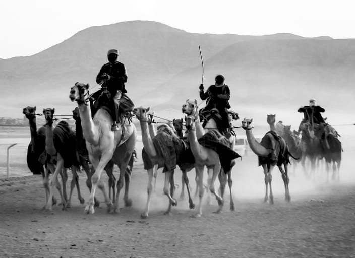 Black-and-white horizontal photograph of multiple riders leading and riding camels across a dusty plain, with mountains in the background and kicked-up dust blurring the lower air.