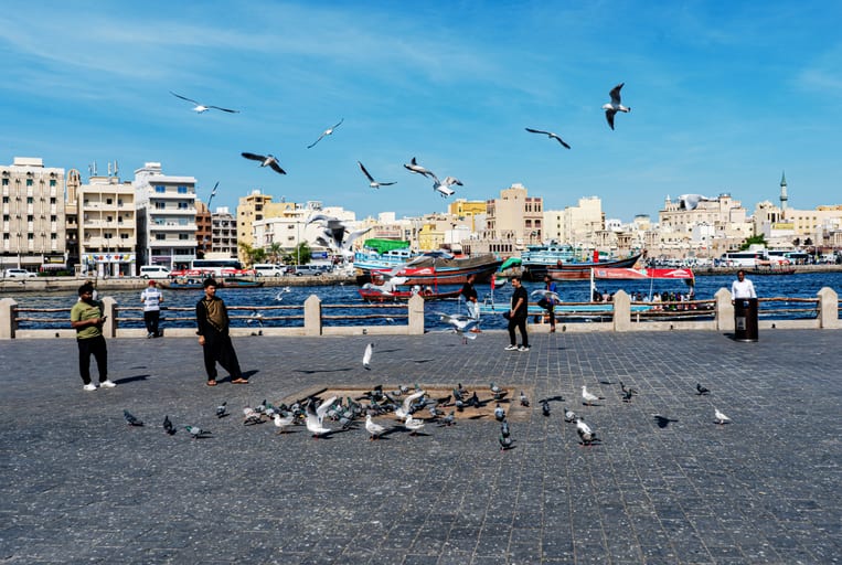 Peguen Dubai Water Birds, a fine-art photograph by Ali Abu Ras