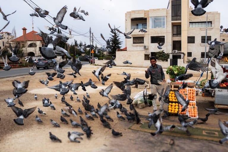 People Seller AND Birds 7, a fine-art photograph by Ali Abu Ras