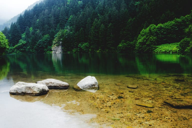 Trabzon Luck Green Water Trees 4 PSD, a fine-art photograph by Ali Abu Ras