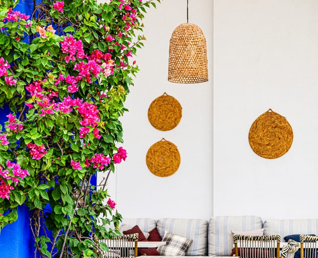 Aqaba Place Chares Wall Tree, a fine-art photograph by Ali Abu Ras