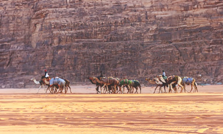 A line of multiple camels with riders moving across a flat sandy desert foreground, set against a massive, weathered rock wall that fills the upper two-thirds of the frame.