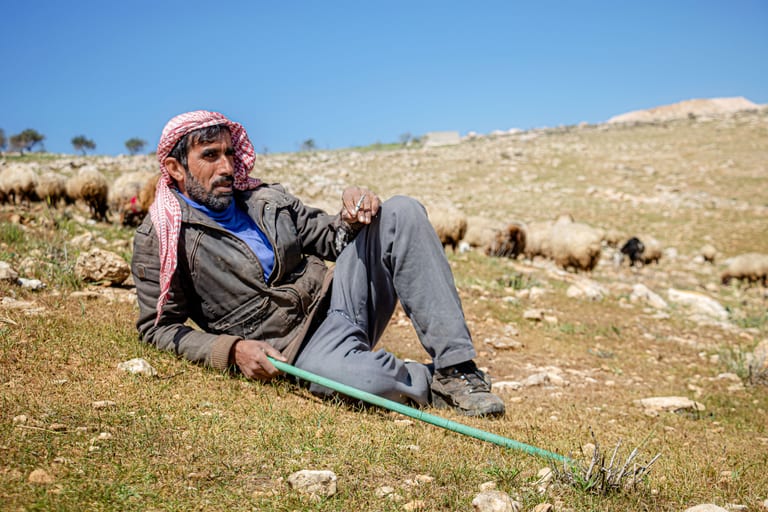 MAN Shepherd Sheep Garesa Feild, a fine-art photograph by Ali Abu Ras