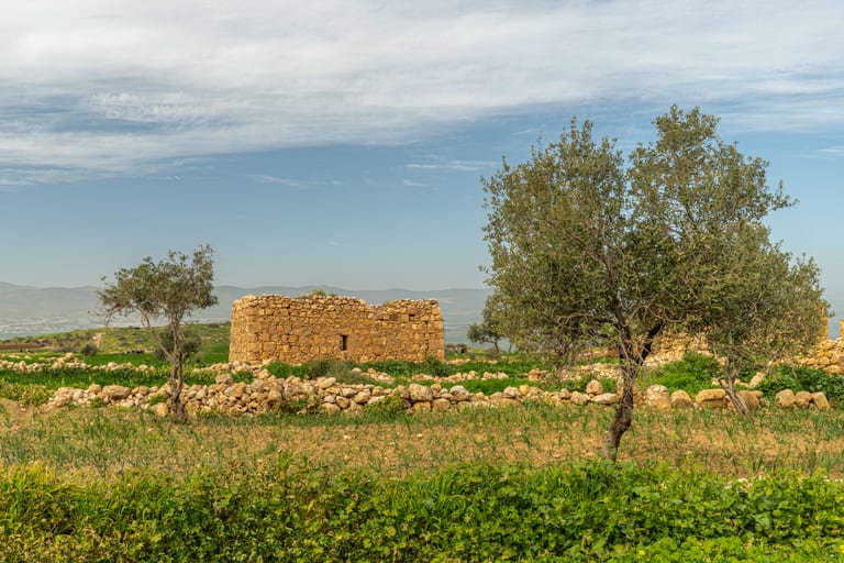 Pops Spring Ajlun, a fine-art photograph by Ali Abu Ras