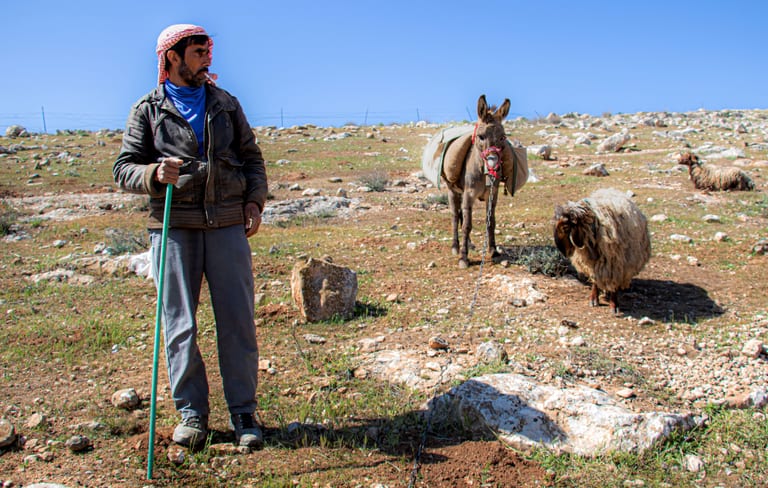 MAN Shepherd Sheep Garesa Feild, a fine-art photograph by Ali Abu Ras