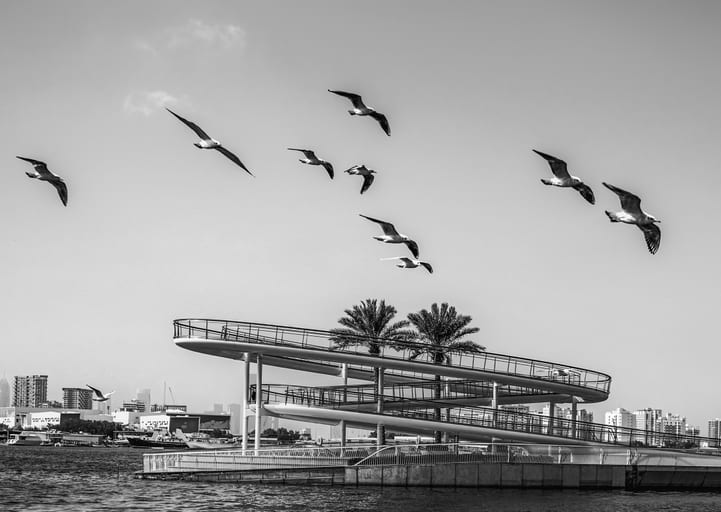Monochrome photograph of multiple seagulls flying in formation across a clear sky above a multi-tiered spiral architectural ramp and palm trees by the water.