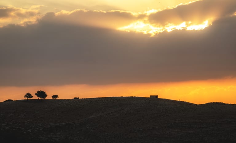 Madaba Sunset Trees Mount Hells, a fine-art photograph by Ali Abu Ras