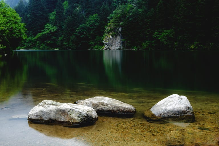 Stilllife Water Luck Tarabzon Forest, a fine-art photograph by Ali Abu Ras