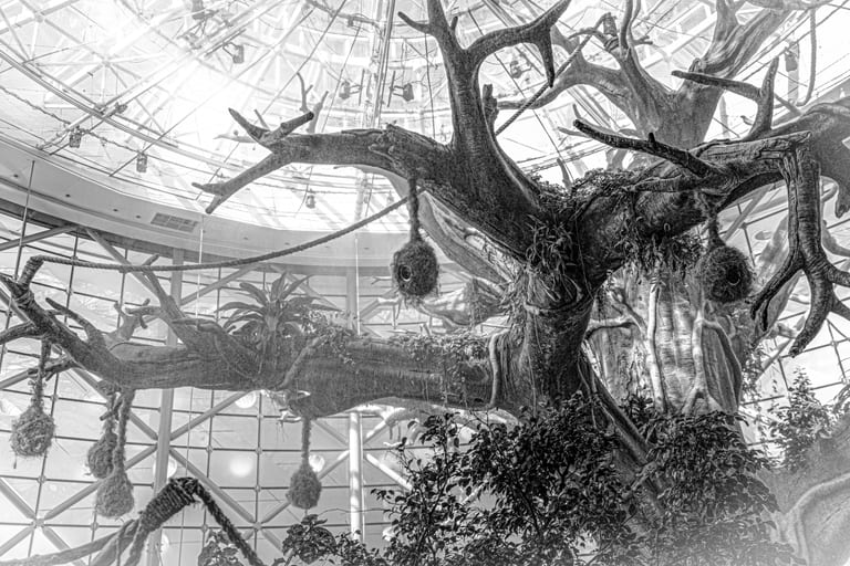 Black and white low-angle view of a large sculpted tree with hanging nests and dense foliage set against a vaulted glass and steel architectural ceiling in Dubai, UAE.