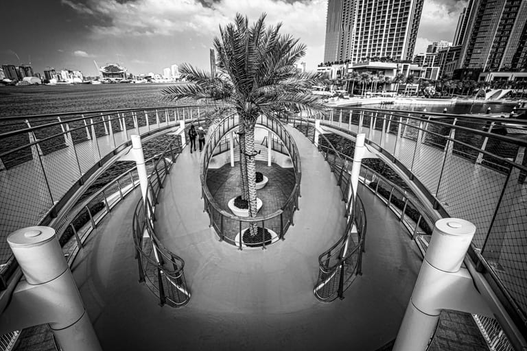 High-angle black and white photograph of an elliptical pedestrian bridge with a central palm tree and railings, overlooking a body of water and distant skyscrapers under a cloudy sky.