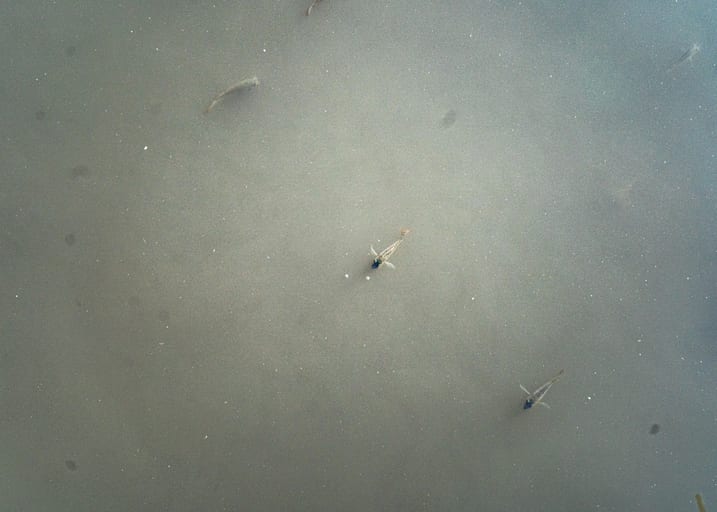 Untitled Study 001198, a fine-art photograph by Ali Abu Ras