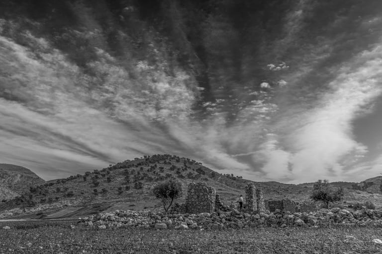 Flower Spring, a fine-art photograph by Ali Abu Ras