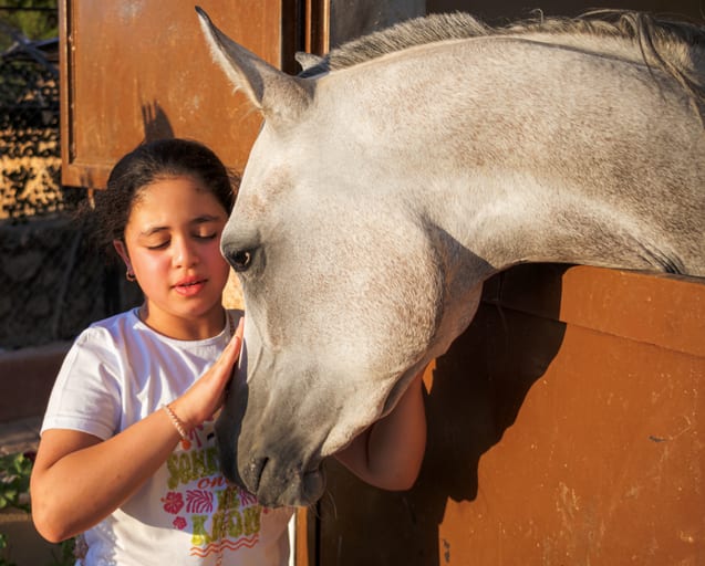 Animal Hours Jana, a fine-art photograph by Ali Abu Ras