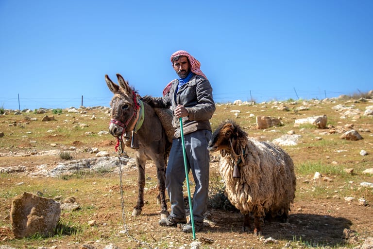 MAN Shepherd Sheep Garesa Feild, a fine-art photograph by Ali Abu Ras