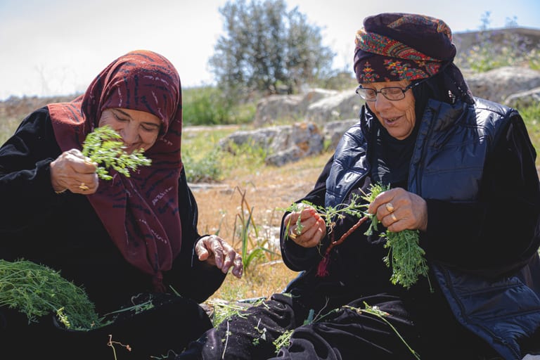Woman Garesa Traditionals, a fine-art photograph by Ali Abu Ras