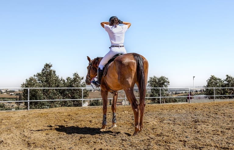 Hours Rider Woman Feild, a fine-art photograph by Ali Abu Ras