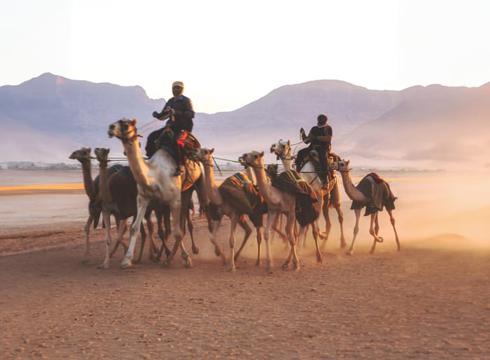 A group of people riding and leading a string of camels across a dusty desert landscape under a hazy, golden light with mountains in the background.