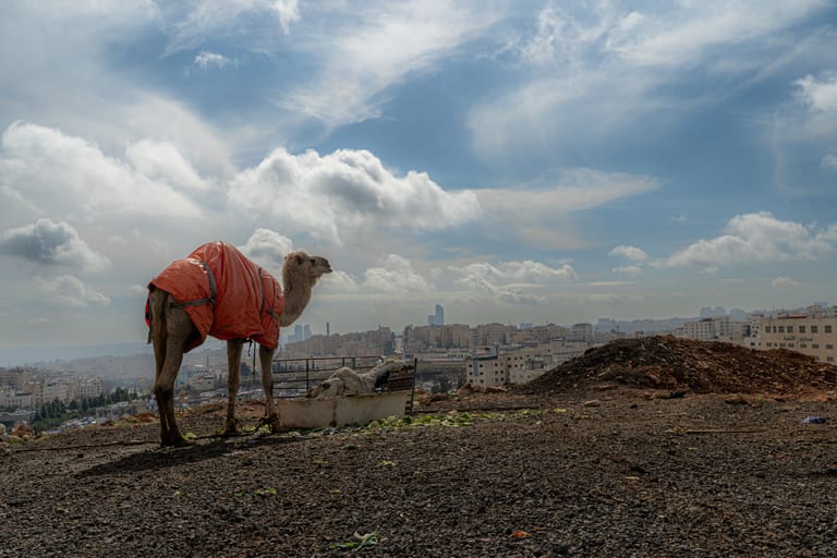 Camel City Clouds View, a fine-art photograph by Ali Abu Ras